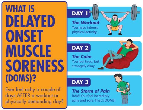 Doms is different than the acute pain that occurs during exercise. Do you suffer from Delayed Onset Muscle Soreness (DOMS ...