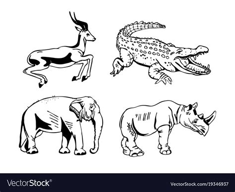 Hand Drawn Pencil Graphics African Animals Set Vector Image