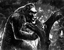 King Kong (film 1933) - Wikipedia