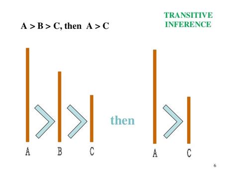 Principle Of Excluded Middle Example