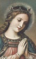 María es Reina; Reina y Señora de todo lo creado. in 2020 | Virgin mary ...