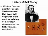 Cell Theory timeline | Timetoast timelines