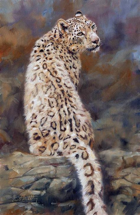 Snow Leopard Painting By David Stribbling