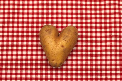 Potato Love Free Photo Download Freeimages