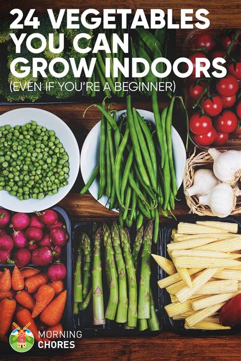 24 Newbie Friendly Vegetables You Can Easily Grow Indoors