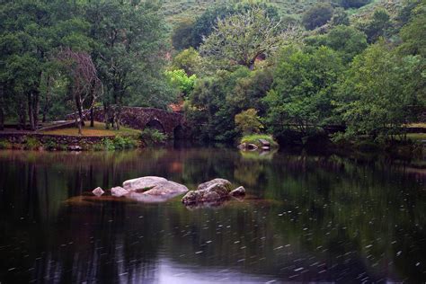 Free Images Landscape Tree Nature Forest Swamp Wilderness Lake