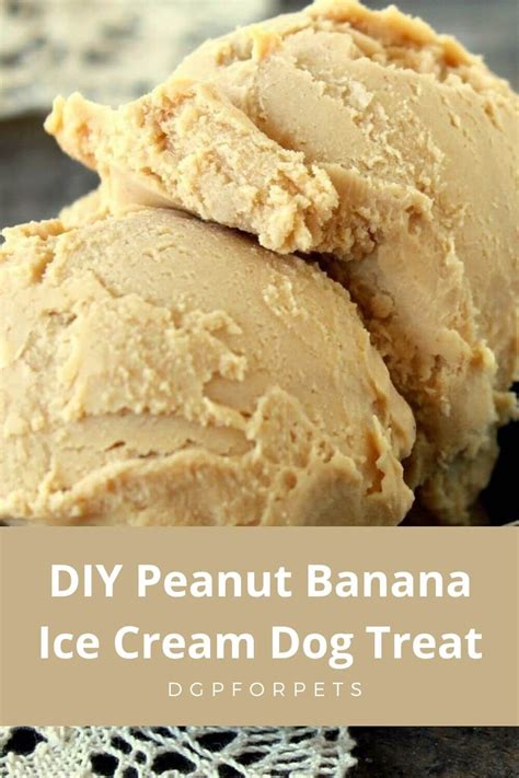 Homemade Dog Food Peanut Banana Ice Cream Dog Biscuit Recipes Dog