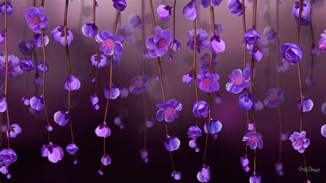 Beautiful Purple Flower Wallpapers High Quality Purple Flowers