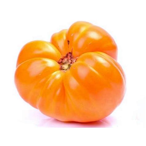 Tomato Seeds Oxheart Orange Bulls Heart Price €155