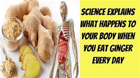 What Happens If You Eat Ginger Every Day Youtube