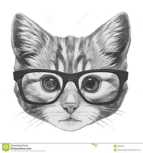 Pour une meilleure considération de ma candidature mon c.v. Dessin Original De Chat Avec Des Verres Illustration Stock - Illustration du kitty, visage: 77663873