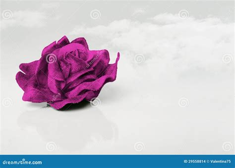 Purple Velvet Rose Stock Photo Image Of Romantic Fabric 29558814