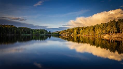 Norway Forest Lake With Reflection Of Blue Sky Trees And Clouds Hd