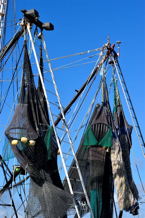 Commercial Fishing Nets Free Stock Photo Public Domain Pictures