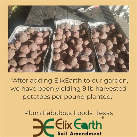 Plum Fabulous Foods Texas Get A Jump Start On Your Potato