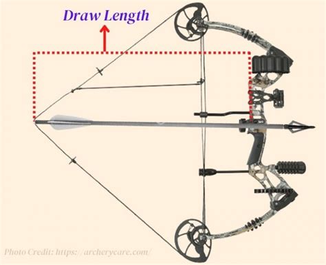 Compound Bow Draw Length Anatomy In 2022 Compound Bow Bow Hunting