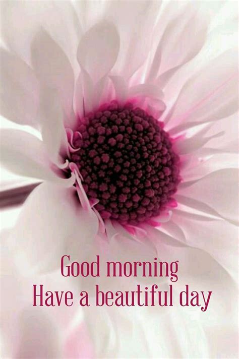 Good Morning Have A Beautiful Day Flower Quote Pictures