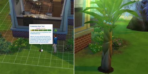 The Sims 4 Complete Guide To Plant Sims