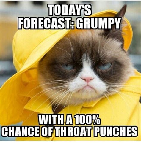 Best 25 Grumpy Face Ideas On Pinterest Funny Quotes On Life Short Quotes On Smile And