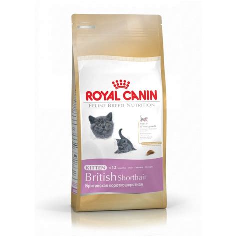 Royal Canin British Shorthair Kitten Kitten Food At Burnhills