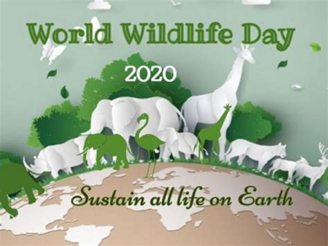 World Wildlife Day World Wildlife Day 2020 Date Theme History And