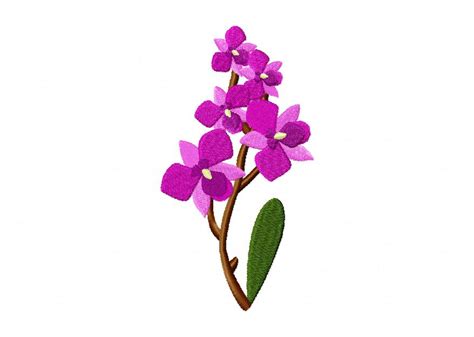 Orchid Flower Machine Embroidery Design Daily Embroidery