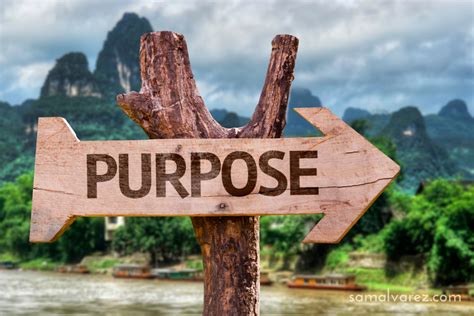 3 Ways To Get Closer To Finding Your Lifes Purpose By Treating It As A