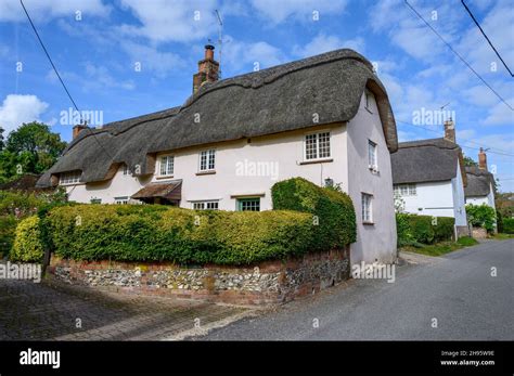 Pretty Thatched Roof Traditional Cottages In Farnham Village Dorset