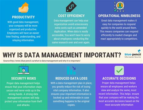 Knowing The Importance Of Enterprise Data Management For Small