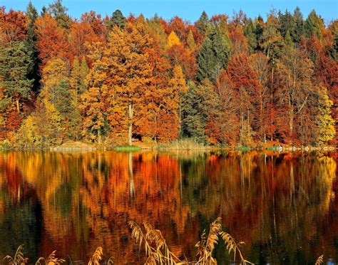 7 Powerful Reasons Why Autumn Is The Best Season
