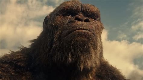 Who Actually Won At The End Of Godzilla Vs Kong