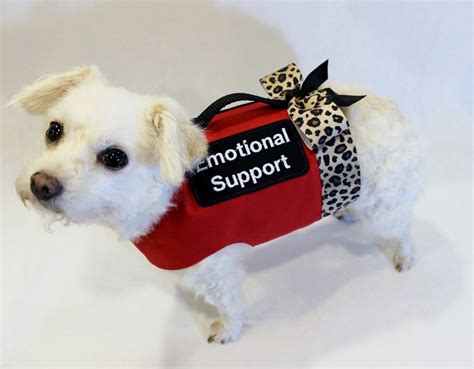 Are emotional support animals allowed in all public places? Guidelines for Landlords: Emotional Support Animals in ...