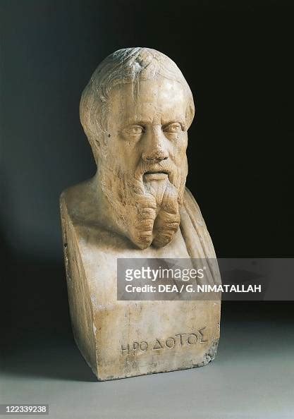 Bust Of Herodotus Of Halicarnassus Greek Historian Marble