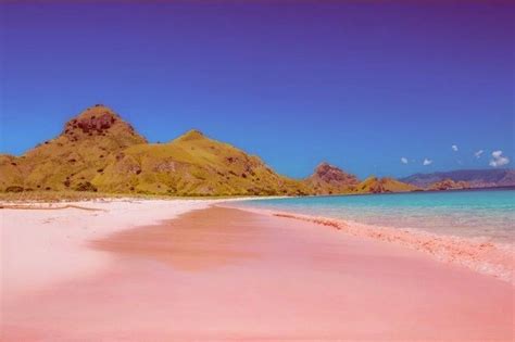 Top 10 Pink Beaches In The World Pink Sand Beach Holidayrider