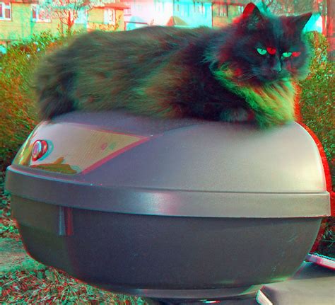 Cat On A Box 3d Anaglyph Red Blue Glasses To View A Photo On Flickriver