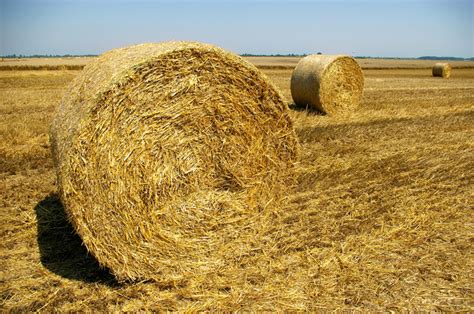 Free Straw Bale Photos And Pictures Freeimages