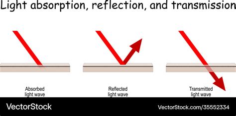 Absorption Reflection And Transmission Waves Vector Image