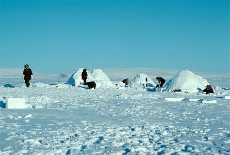 Ira Block Photography Canadian Arctic Survival Training