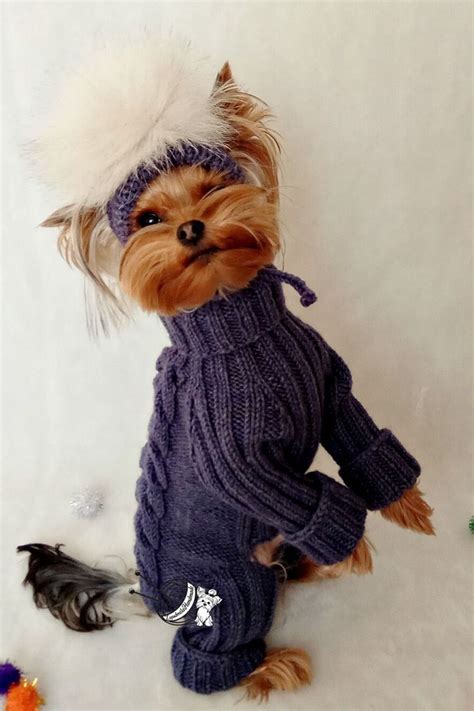 Knitted Dog Jumpsuit Small Dogs Warm Winter Clothes Dog Pom Etsy