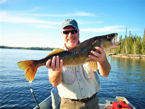 Canadian Fishing Trips And Walleye Fishing In Ontario Andersons Lodge