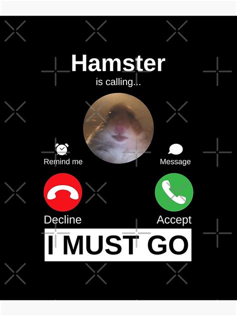 Staring Hamster Is Calling Pet Hamster Animal Humor Meme Poster For
