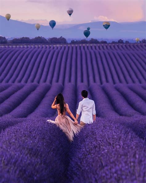 Love Couple Lavender Fields Montgolfières