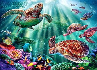 Sea Turtle Mother F Cmp Submarino Art Peces Pescado Oceano Bonito