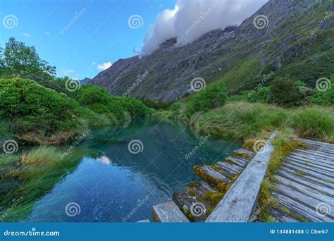 Wooden Bridge Over River In The Mountains Fiordland New Zealand 7