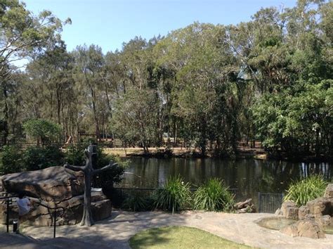 David Fleay Wildlife Park West Burleigh Australia Top Tips Before