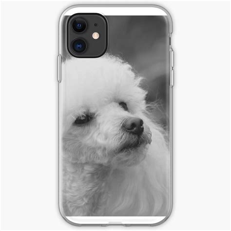 Toy Poodle Iphone Case And Cover By Ritmoboxers Redbubble