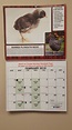 Cackle Hatchery® Calendar | Cackle Hatchery®