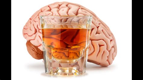 Juveniles Build Up Physical But Not Mental Tolerance For Alcohol