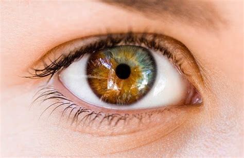 Heterochromia A Beautiful Mutation Rare Eyes Heterochromia Eyes
