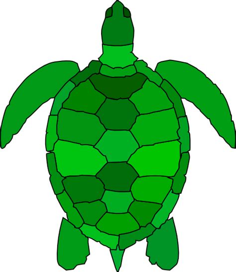 Turtle Clip Art 106908 Free Svg Download 4 Vector